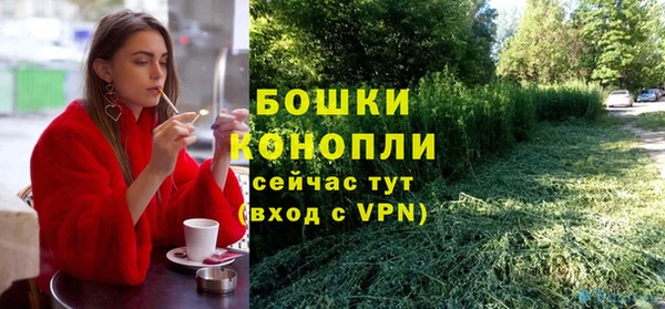 прущие грибы Богородск