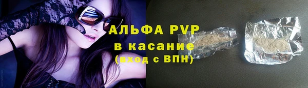 прущие грибы Богородск