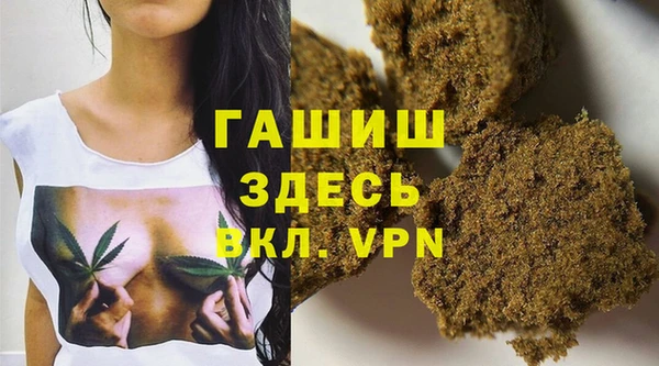 прущие грибы Богородск
