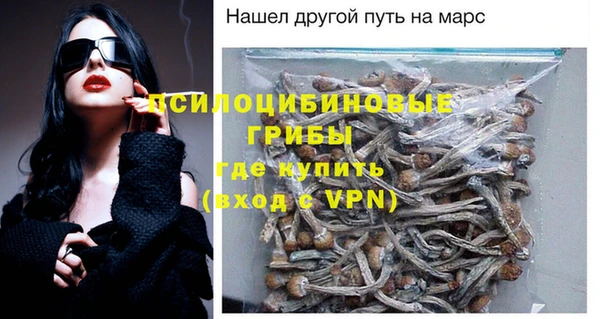 прущие грибы Богородск
