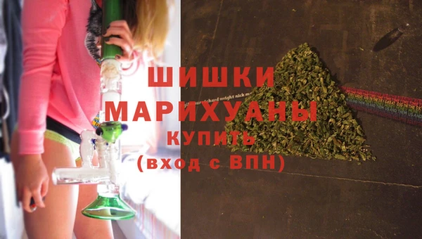 спайс Богданович