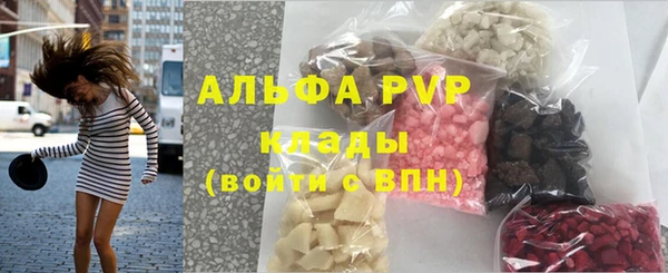 прущие грибы Богородск