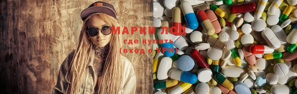 спайс Богданович
