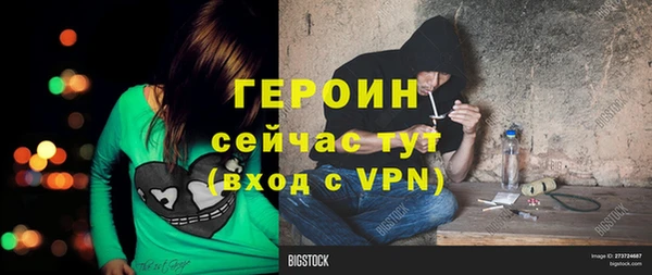 прущие грибы Богородск