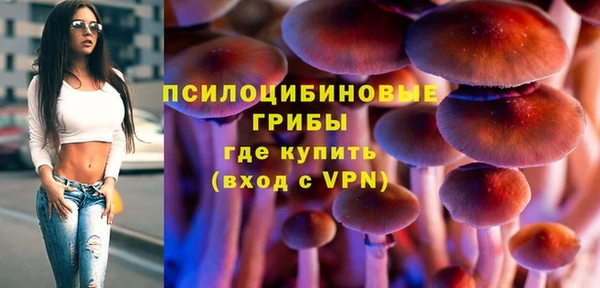 прущие грибы Богородск