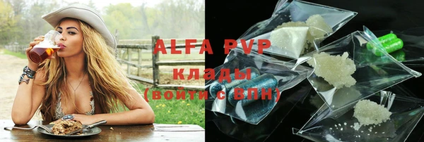 спайс Богданович