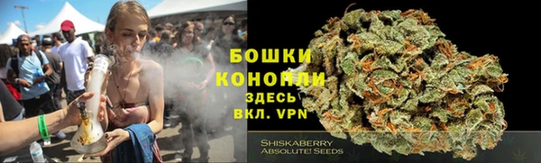 спайс Богданович