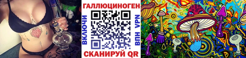 закладка Волжск Псилоцибиновые грибы Magic Shrooms