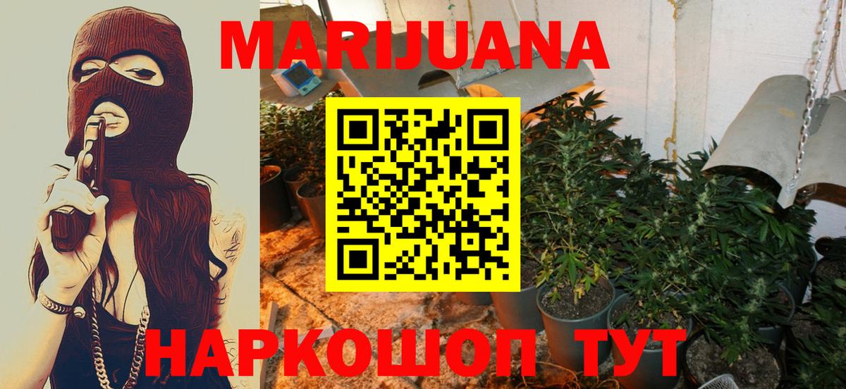 Бошки Шишки план  Шишки марихуана Bruce Banner  Вход с VPN  Волжск 